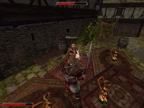 Gothic 2 235958,4